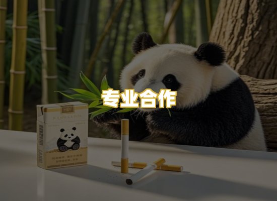 专业合作